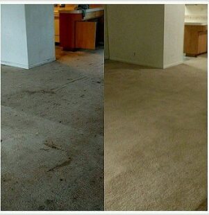 Before and after photos of filthy carpet that has been cleaned and looks new